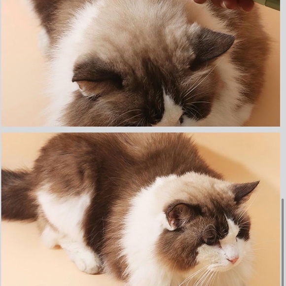 Green Pet Grooming Brush - Picture 5 of 5